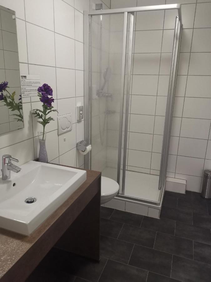 Boardinghouse Sinsheim Zentral Am Burgplatz Vandrehjem Eksteriør billede